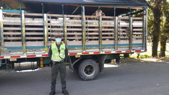 Contundentes-operativos-de-control-contra-el-abigeato-2