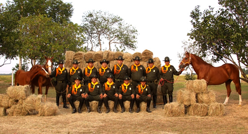 criadero-geriatrico-caballos-policia.nacional-colombia-meta-carabineros