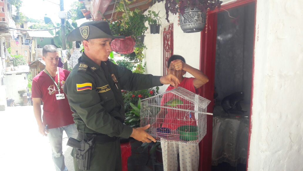 En-operativos-fueron-rescatadas-32-especies-animales-en-vía-de-extinción.-3