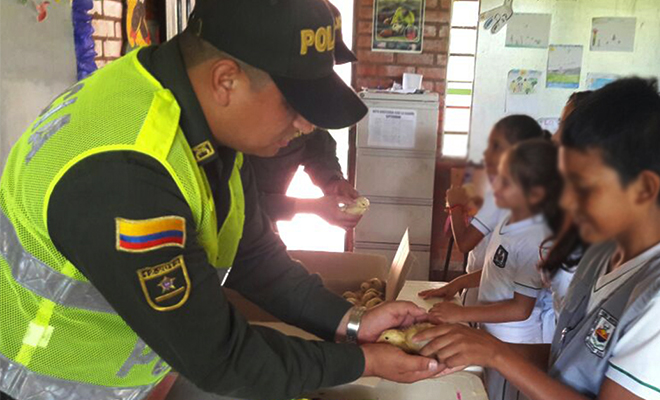 En-el-Meta-junto-a-la-Red-de-Participación Cívica-yo-decido-vivir-sin armas