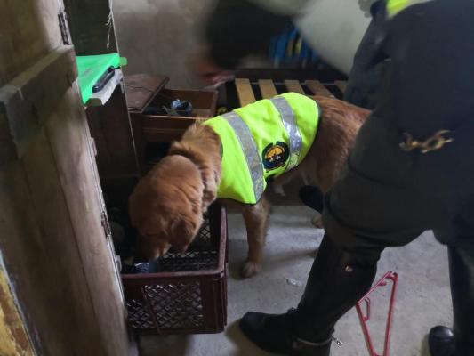 Contundente operación contra el microtráfico en el municipio de Paipa