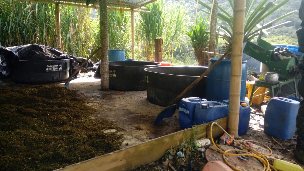 Destrucción_de_un_laboratorio_ para_el_procesamiento_ de_hoja_de_coca