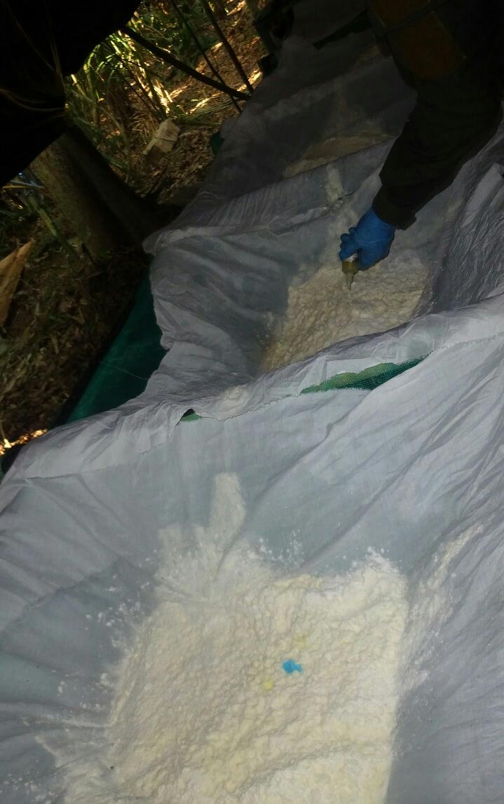 Destruido-gigantesco-laboratorio-para-la-producción-de-clorhidrato-de-cocaína-en-el-departamento-del-Meta