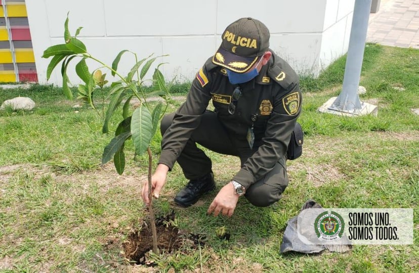 Campaña en protección del medio ambiente 