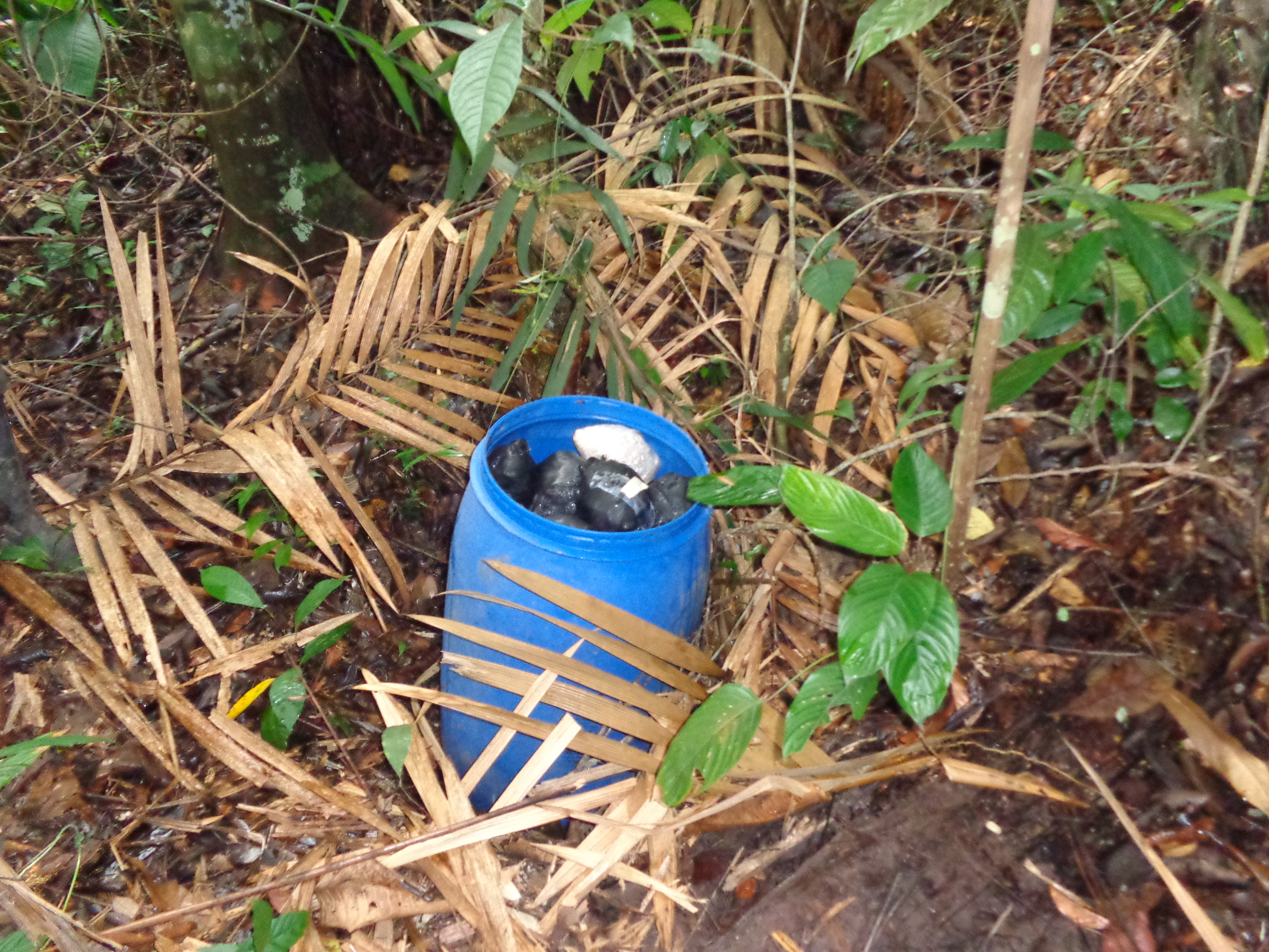 La-Policía-y-el Ejército-Nacional, golpean-las-finanzas-del-ELN-en-el -Catatumbo. 