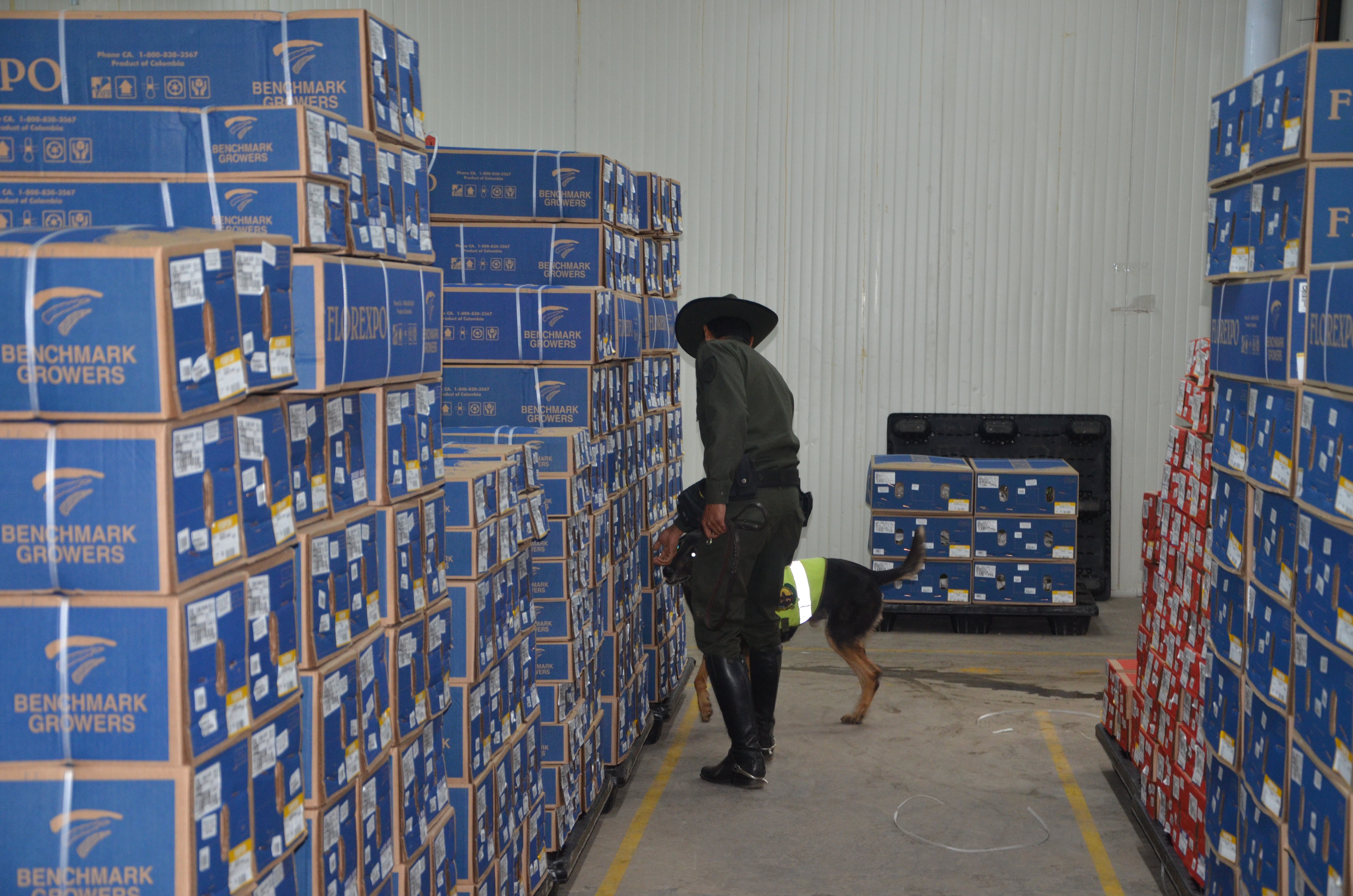 Control de seguridad y prevención de delitos en la zona de cultivo de flores