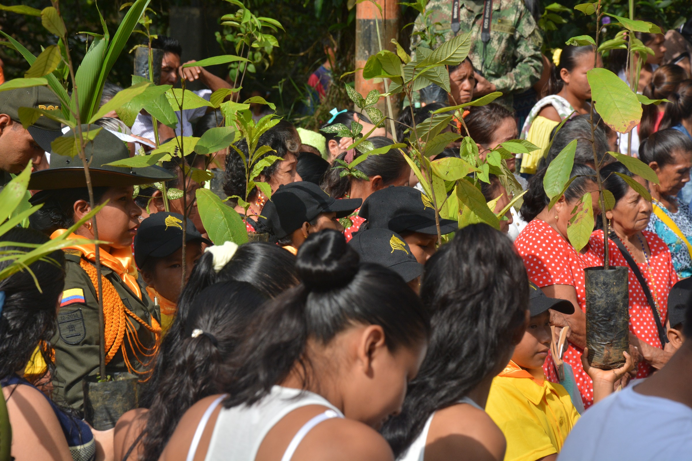 semana santa segura y en paz