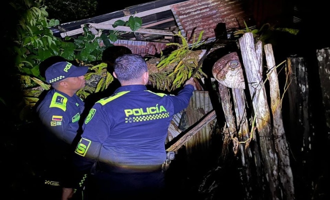 empezaron a cortar árboles caídos