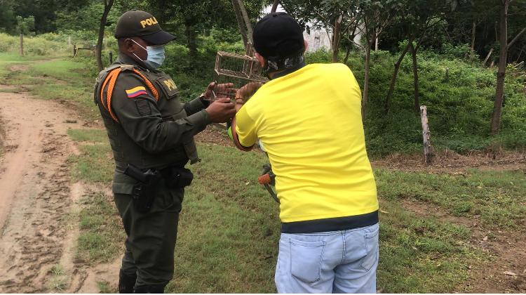 homenaje_a_las_victimas_del_covid_19_policia_siembra_arboles_en_el_carmen_de_bolivar