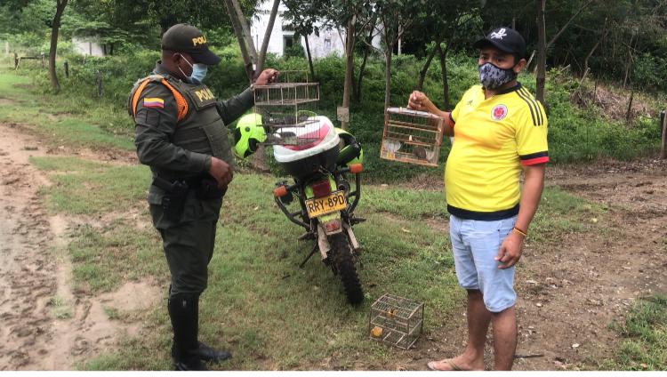 homenaje_a_las_victimas_del_covid_19_policia_siembra_arboles_en_el_carmen_de_bolivar