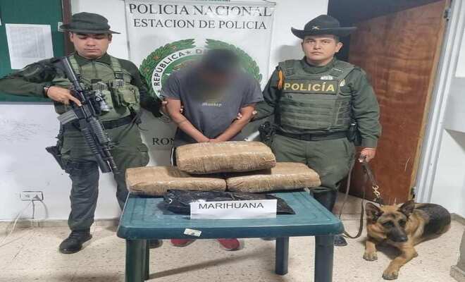 En Roncesvalles, gracias al olfato de ‘Titan’ se logró la captura de un sujeto y la incautación de alucinógenos