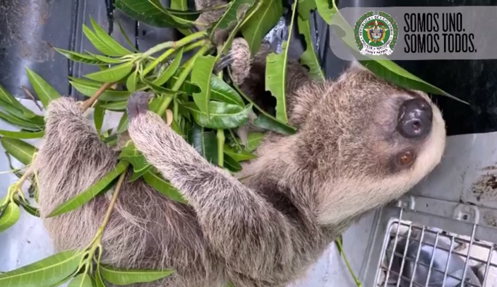 EnLaProteccionALaBiodiversidadSomosUnoSomosTodos2