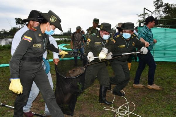 Estrategia de protección a la flora y fauna
