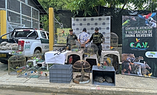 Capturado y especies recuperadas 