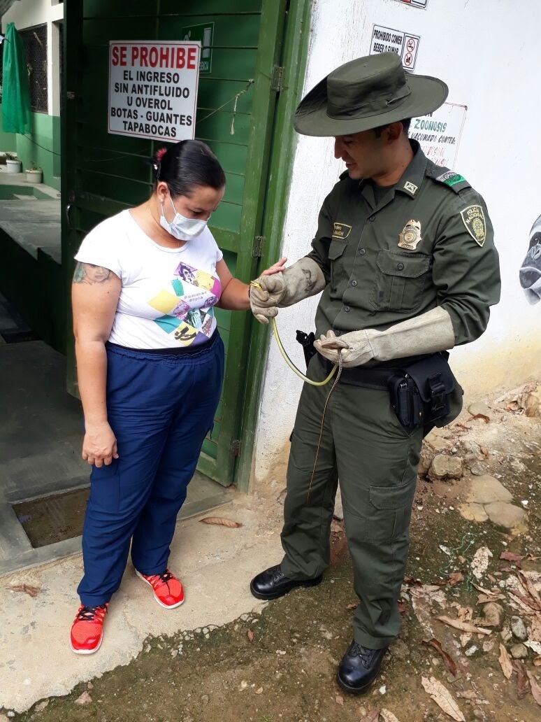 Proteccion-serpiente