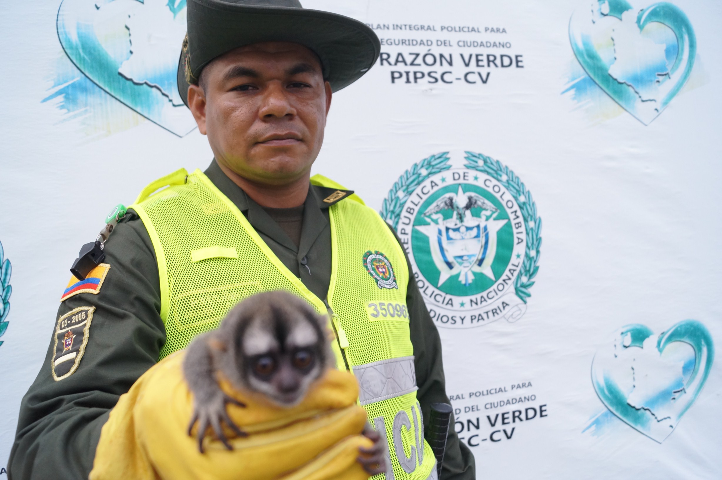Los reptiles y el primate serán retornados a su hábitat 
