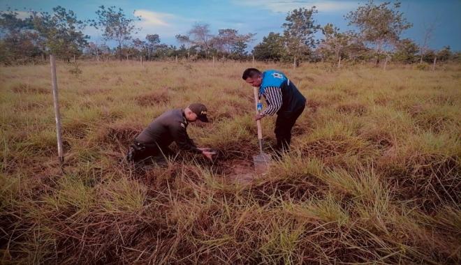 ¡Siembra un árbol por tu planeta!