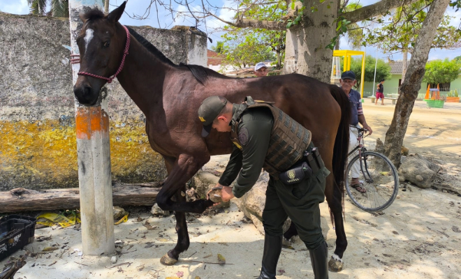 En un esfuerzo por promover el bienestar animal y contribuir a la protección del medio ambiente.