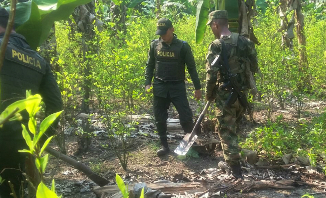 En-Ofensiva Nacional-contra-el-Delito-caen-dos-complejos cocaleros-del-‘Clan-del-Golfo’