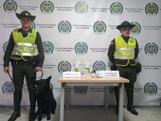 el canino Logam permite la incautación de sustancias estupefacientes con su olfato