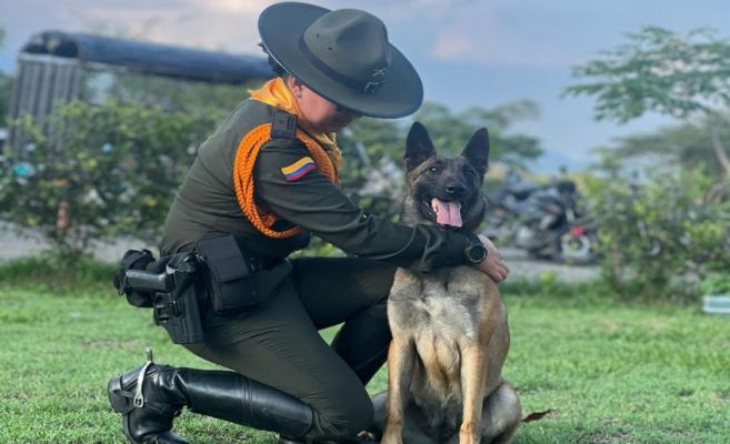 Bienvenida a 'Hestia', el nuevo canino antinarcóticos del Departamento de Policía Tolima