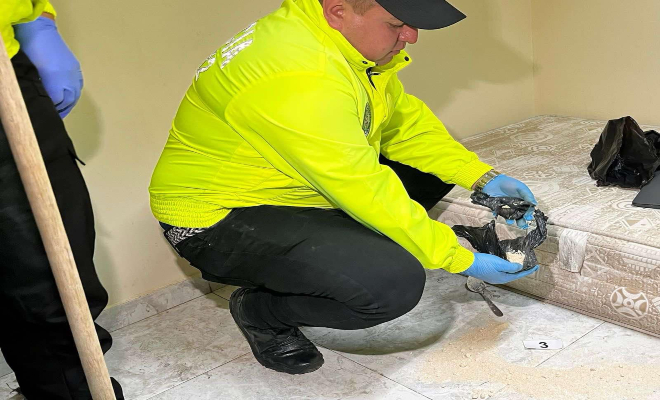 Hallazgo estupefacientes