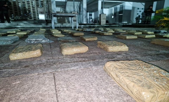 Presentación del material incautado, marihuana 