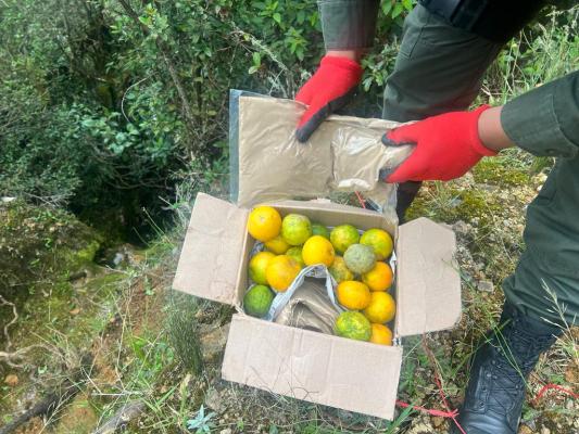 En cajas de Naranjas encontraron oculta heroína 