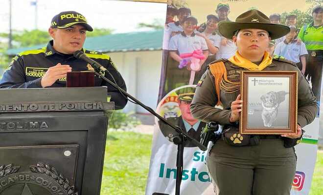 En las instalaciones de carabineros, policía Tolima rindió un homenaje en conmemoración a ‘Evelyn’ canino antiexplosivos