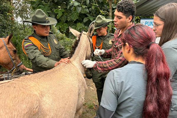 Polic&iacute;a Nacional particip&oacute; en jornada de bienestar animal en zona rural de La Virginia