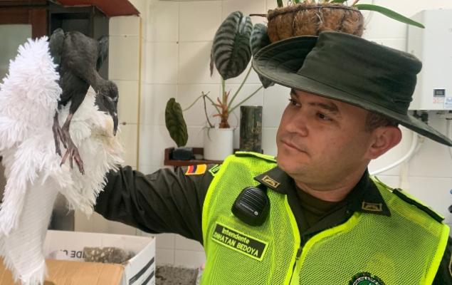 Actividades en pro de la conservación