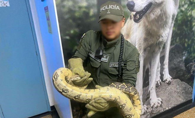 Las especies silvestres deben ser protegidas por todas las comunidades