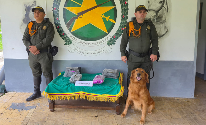Nuestro caninos siguen siendo garantes de la lucha frontal contra el tráfico de estupefacientes