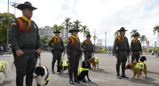 Garantizamos la convivencia y seguridad, en esta navidad, fin de año e inicio del próximo año