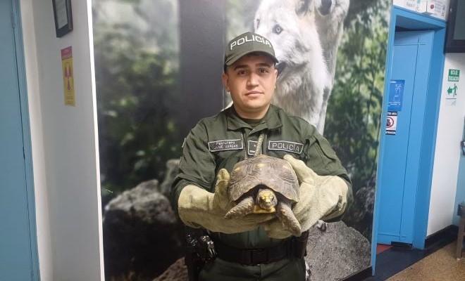 No importa la especie, entre todos debemos de protegerlas