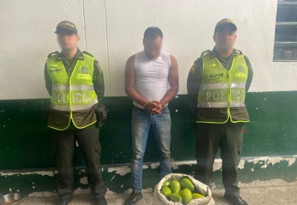 El hurto en zonas rurales no tiene cabida en el área metropolitana de Pereira