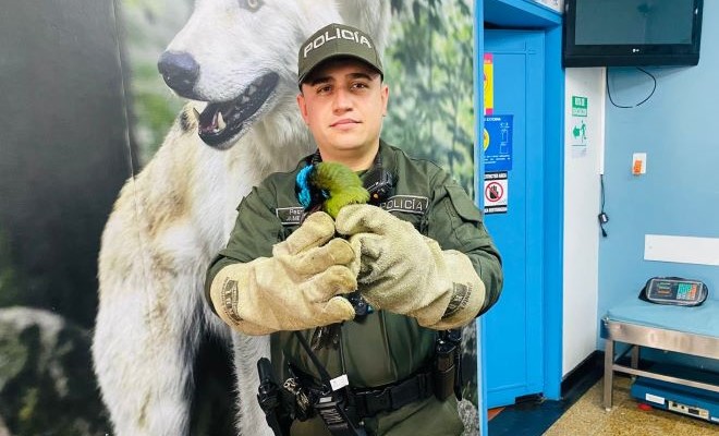 Invitamos a la comunidad risaraldense a respetar los seres que no tienen voz