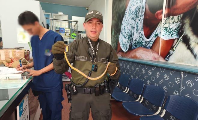 Invitación a la comunidad para proteger los seres vivos que no tienen voz