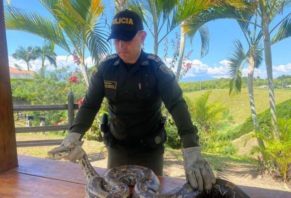 Actividades que se realizan en diferentes lugares del área metropolitana de Pereira 