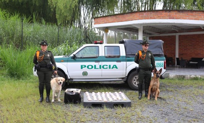 Los elementos iban camuflados en una encomienda, proveniente del departamento de Nariño