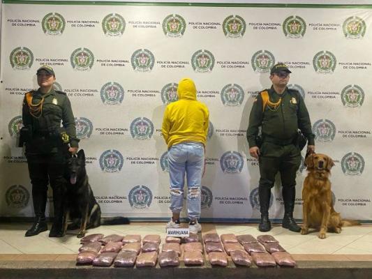 Capturada con aproximadamente 15.000 gramos de marihuana