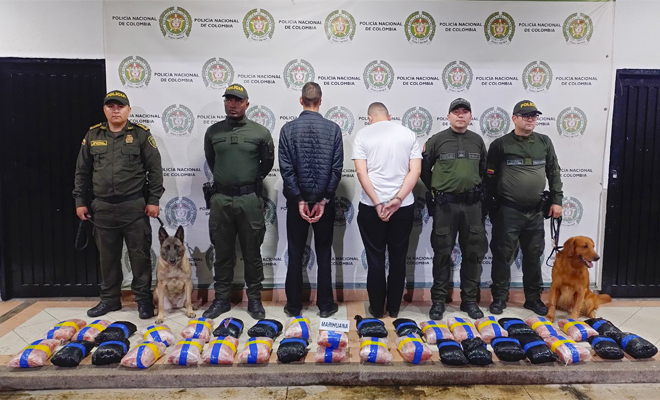 La acción operativa se logra gracias al olfato de nuestros caninos policiales 