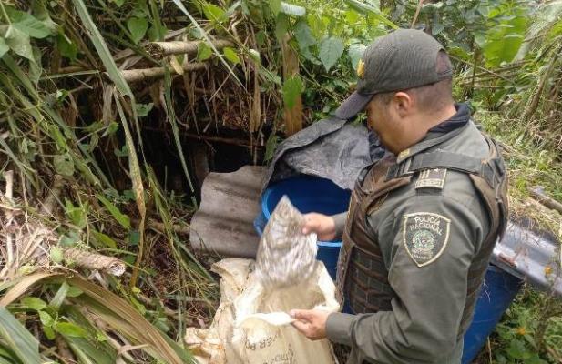 Marihuana escondida en canecas 