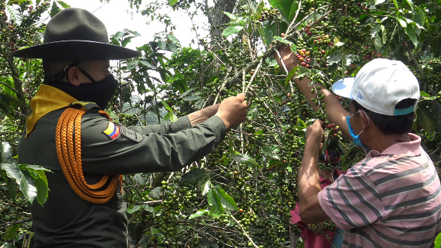 Garantizamos la seguridad del plan cosecha en los municipios de Pereira y Dosquebradas