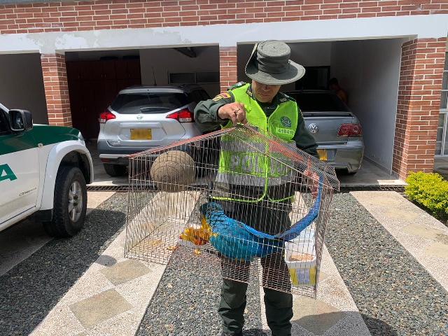 Tu-casa-no-es-mi-casa-mi-casa-es-el-bosque