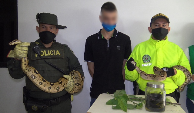 Mediante-diligencia-de-registro-y-allanamiento-se-logro-la-aprehensión-de-varias-especies-en-el-municipio-de-Dosquebradas 