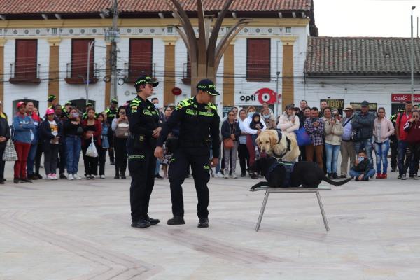Los 'Perros voladores' de la Polic&iacute;a Nacional