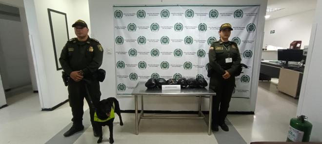 incautación de estupefacientes 