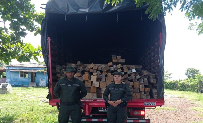 Incautación de madera