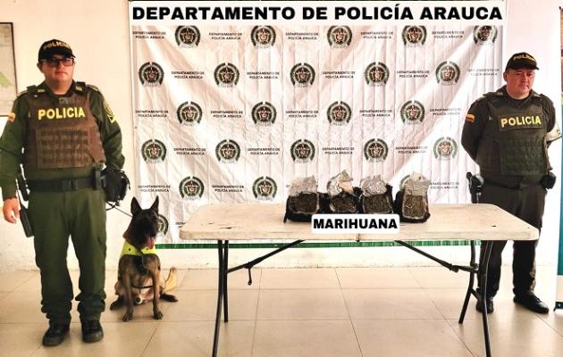 incautación de marihuana